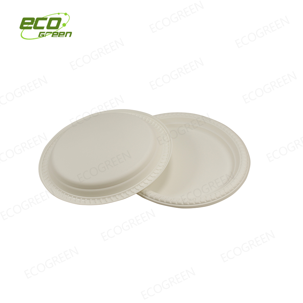 9 inch biodegradable plate Featured Image
