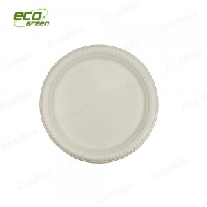 10 inch biodegradable plate