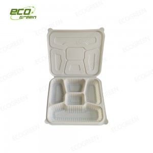 5 compartment biodegradable container