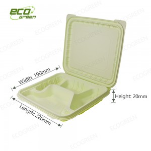 Reasonable price Biobased Food Container Factory - 4 compartment biodegradable container – Ecogreen