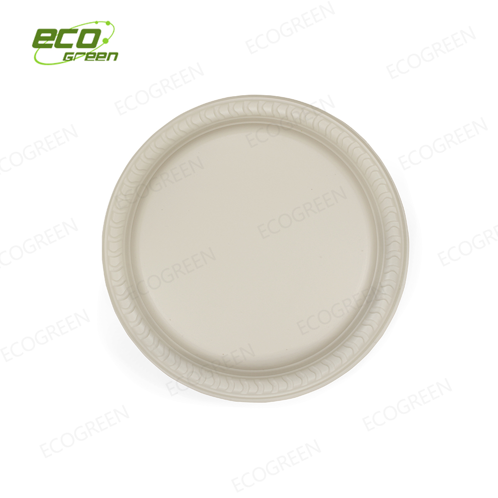 OEM/ODM Factory China 6 Inch 8 Inch 10 Inch Completely Biodegradable Disposable Bagasse Square Plate